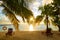 Palm trees sun shine Bodufinolhu island beach Maldives