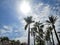 Palm trees, sun  and sky in Playa de las Americas Tenerife, Spain