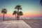 Palm trees and sunbeds at the sandy beach of Larnaca, Cyprus