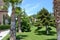 Palm trees on the sunny seaside holidays