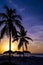 Palm trees at sunset, Cuba