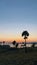 Palm trees with sunset and foreground mountain