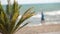 Palm trees swaying in wind against beautiful surf and blue clear sky on background. Tropical plants growing on exotic