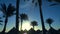 Palm trees and thatched roofed huts