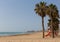 Palm trees Torre La Mata Spain beautiful sandy beach