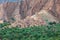 Palm trees and a traditional mountain village in Nizwa,Oman