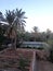 Palm trees an a traditional water reservoir in a garden in Figuig