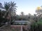 Palm trees an a traditional water reservoir in a garden in Figuig