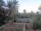 Palm trees an a traditional water reservoir in a garden in Figuig