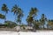 Palm trees at tropic resort on the beach