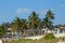 Palm trees at tropic resort on the beach