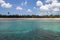 Palm trees on a tropical beach