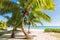 Palm trees on tropical beach