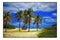 Palm Trees, Tropical Beach, Beautiful landscape, Paradise - Original Digital Art Painting