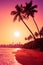 Palm trees on tropical beach at colorful tropic sunset