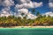 Palm trees on the tropical beach, Saona Island reserve, Dominican Republic