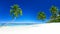 Palm Trees Tropical Beach Summer Vacation Concept