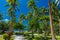 Palm trees on a tropical beach, Vanuatu, Erakor Island, Efate