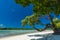 Palm trees on a tropical beach, Vanuatu, Erakor Island, Efate