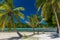 Palm trees on a tropical beach, Vanuatu, Erakor Island, Efate