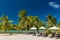 Palm trees on a tropical beach, Vanuatu, Erakor Island, Efate