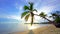 Palm trees on tropical ocean beach in dominican republic