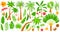 Palm trees tropical plants vector illustration set, cartoon flat indoor garden exotic houseplants from tropics