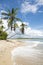 Palm Trees Tropical Remote Brazilian Island Beach