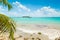 Palm trees and turquoise sea in La Datcha beach in Guadeloupe