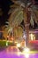 Palm trees. Walking paths with night illumination on territory hotel