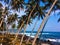 Palm trees, warm ocean and tropical beach