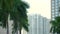 Palm trees waving on wind in front of Miami urban skyline. Detail of office skyscraper building in USA city