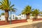 Palm trees and white houses in Yaiza town