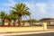 Palm trees and white houses in Yaiza town