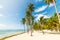 Palm trees and white sand in La Caravelle beach in Guadeloupe