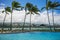 Palm Trees in Wind, Oahu, Hawaii