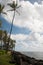 Palm Trees in the wind off the Kapaa Beach on Kauai.