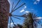 Palm trees and windmills on a blue sky background