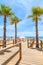 Palm trees and wooden walkway to beach