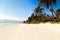 Palm and tropical beach doclet white sand landscape