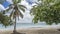 Palm and tropical trees lean over the sandy beach.