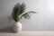 palm vase shadows home sunlight interior decor design contemporary concrete wall tree. Generative AI.