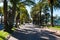 Palm walk on a beautiful summer day in Cannes, France