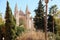 Palma Mallorca cathedral Santa Maria La Seu front view rose window palm trees