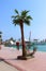 Palme an Hafen Sea Sightseen Egypt Hurghada Sommer 2020