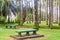 Palmentuin park in Paramaribo