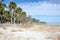 Palmetto trees on the beach and a calm Atlantic Ocean at Hunting Island State Park