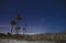 Palmetto trees on empty beach at night with stars