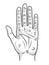 Palmistry or chiromancy hand with signs of the planets and zodiac signs black and white hand drawn design isolated vector illustra