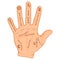 Palmistry or chiromancy hand with signs of the planets and zodiac signs. Palmistry map on open palm. Divination and